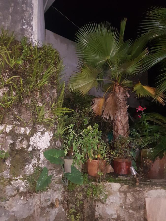 Posada Don Felipe Cuetzalán del Progreso Esterno foto
